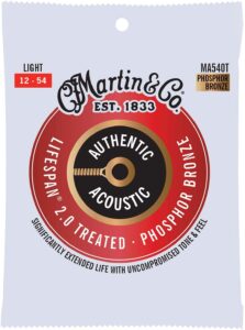 Martin Guitar Authentic Acoustic Lifespan